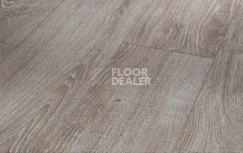 Ламинат Parador Basic Plus 600 XS 1593842 Дуб Светло-серый фото 1 | FLOORDEALER
